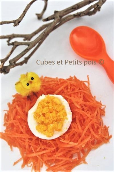 Recette De Paques Pour Bebe Nid De Carottes Et Petit Oeuf Cubes Petits Pois